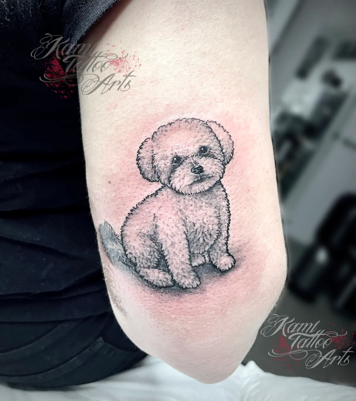 Blackwork Tiny Dog Portrait Tattoo Bichon Frise Fluff