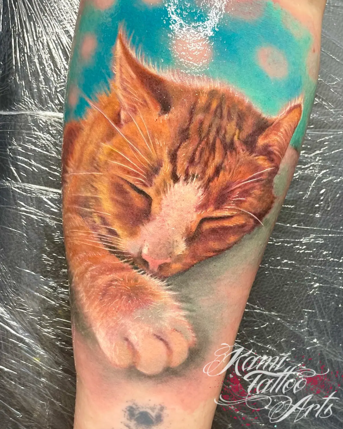 Realism Ginger Cat Tattoo Portrait Sleepy Sleep Cute Colour Jonasz