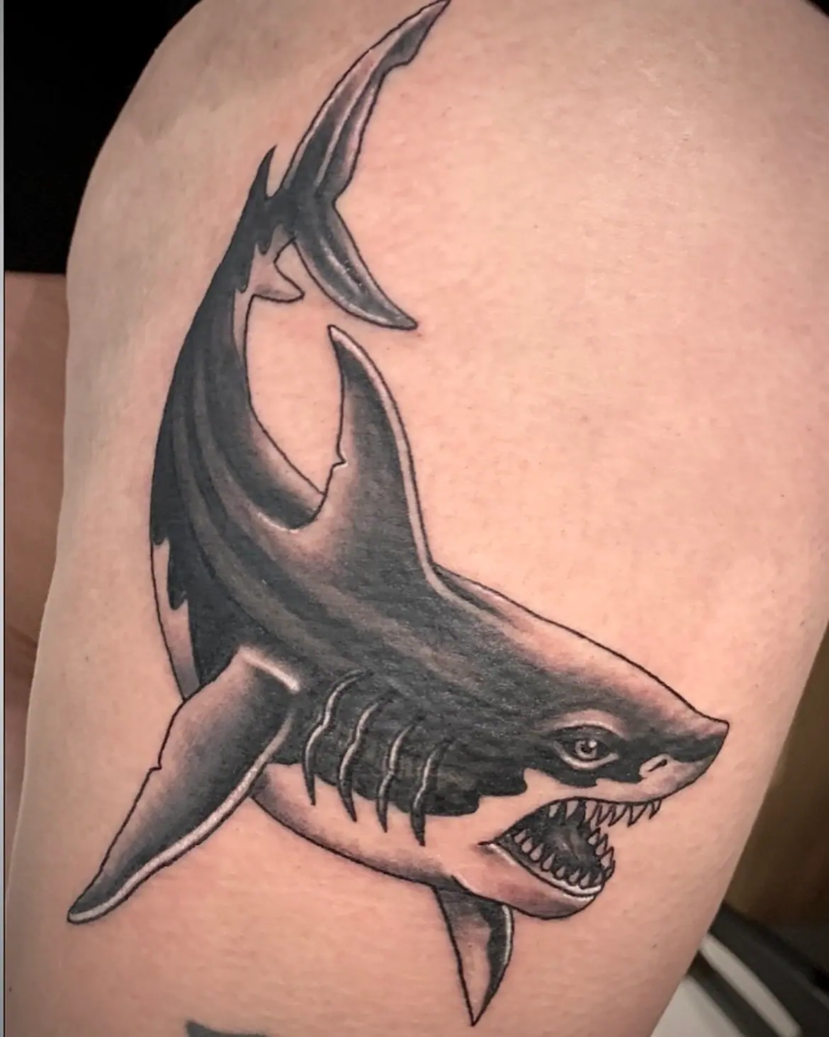 Shark Traditional Oldschool Tattoo